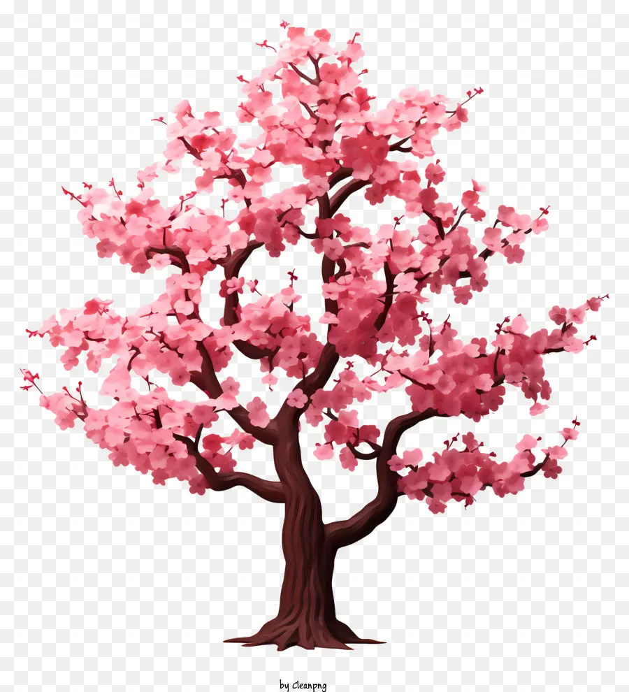 Kertas Kosong Dengan Bunga Sakura，Pohon Sakura PNG