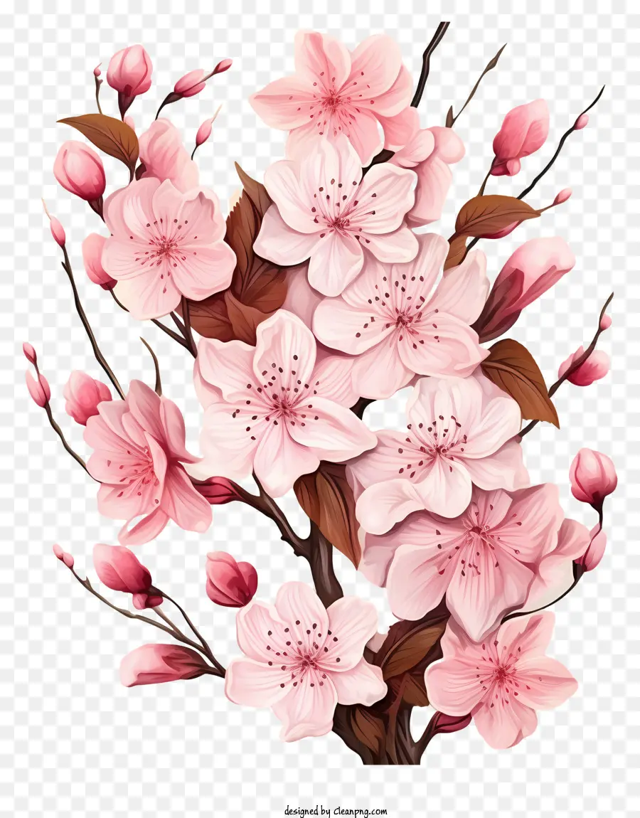 Bunga Cabang Ceri Gaya Realistis，Pohon Sakura PNG