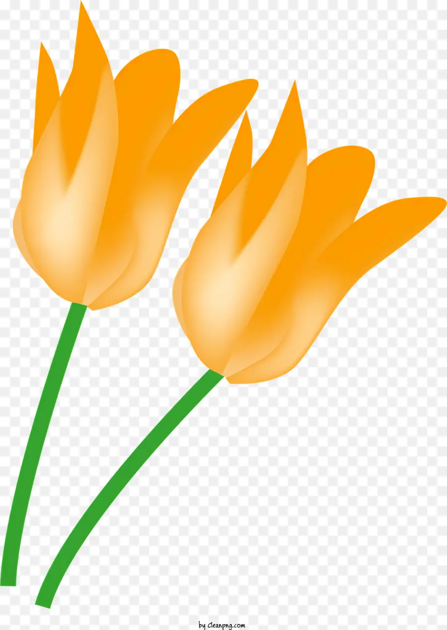 Orange Tulip，Desain Tulip Bergaya PNG