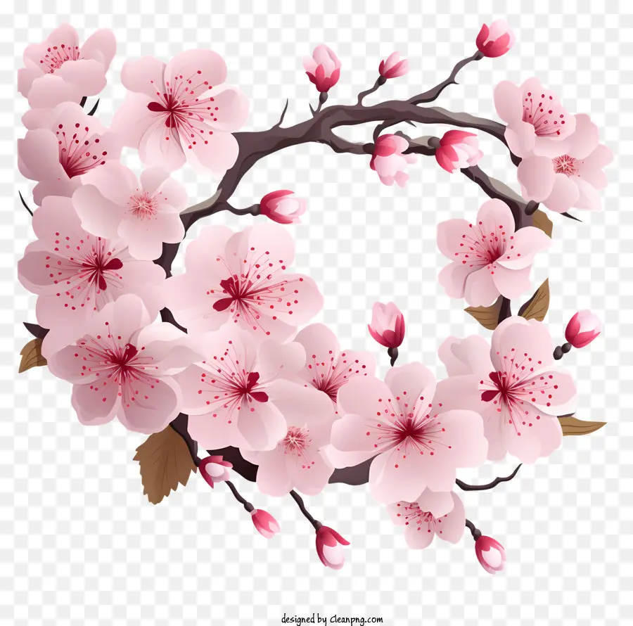 Rangka Bunga Sakura，Bunga Sakura PNG