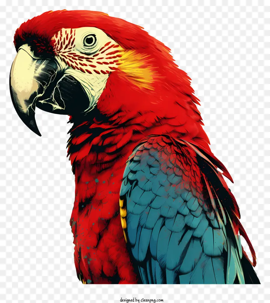 Burung Beo，Warna Warni Burung Beo PNG