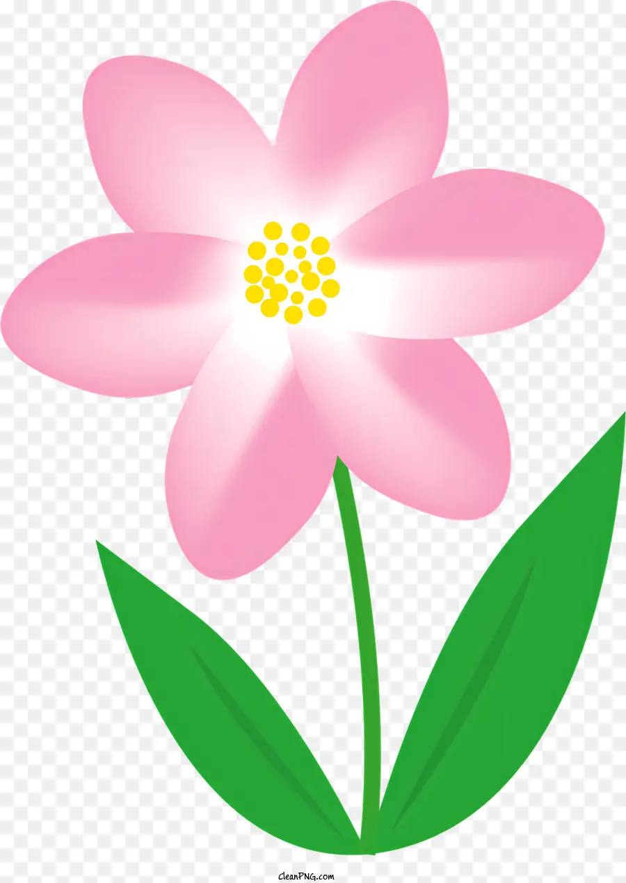 Bunga Merah Muda，Lima Kelopak PNG