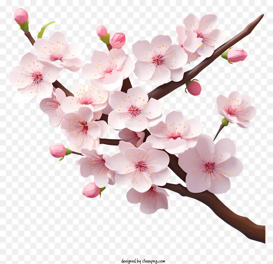 Bunga Cabang Ceri Gaya 3d Realistis，Pohon Sakura PNG