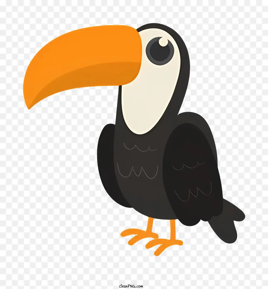 Burung Beo，Toucan PNG