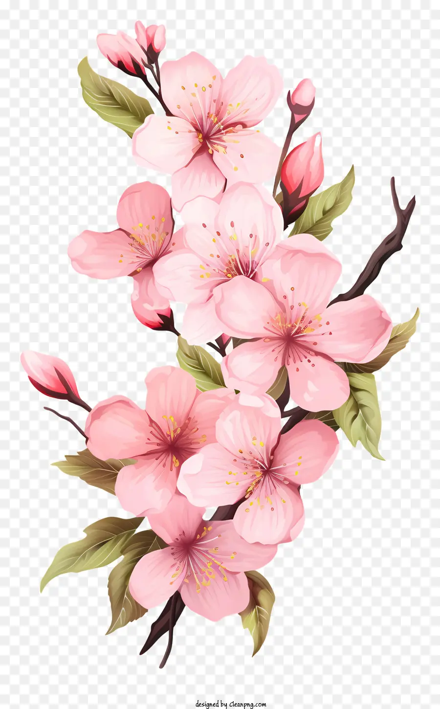 Bingkai Bunga Sakura，Sakura PNG
