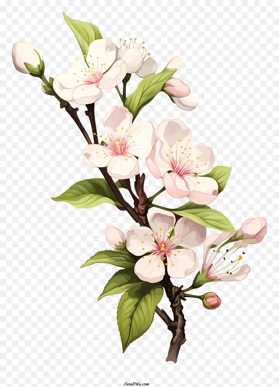Doodle Style Cherry Branch Blossom，Cabang PNG