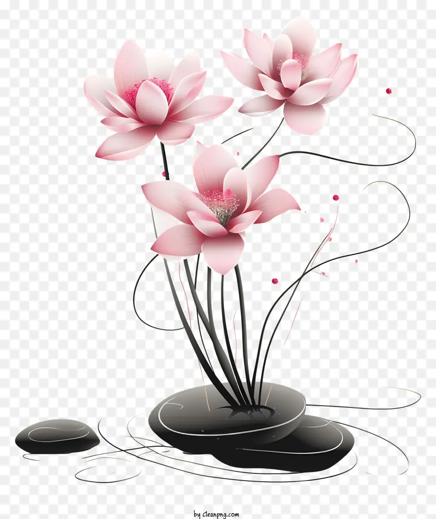 Susunan Bunga Zen，Bunga Teratai PNG