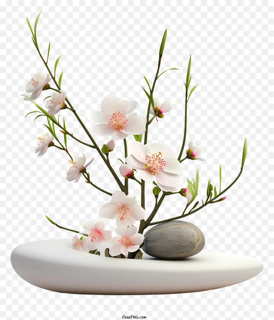 Susunan Bunga Zen，Sakura Cabang PNG