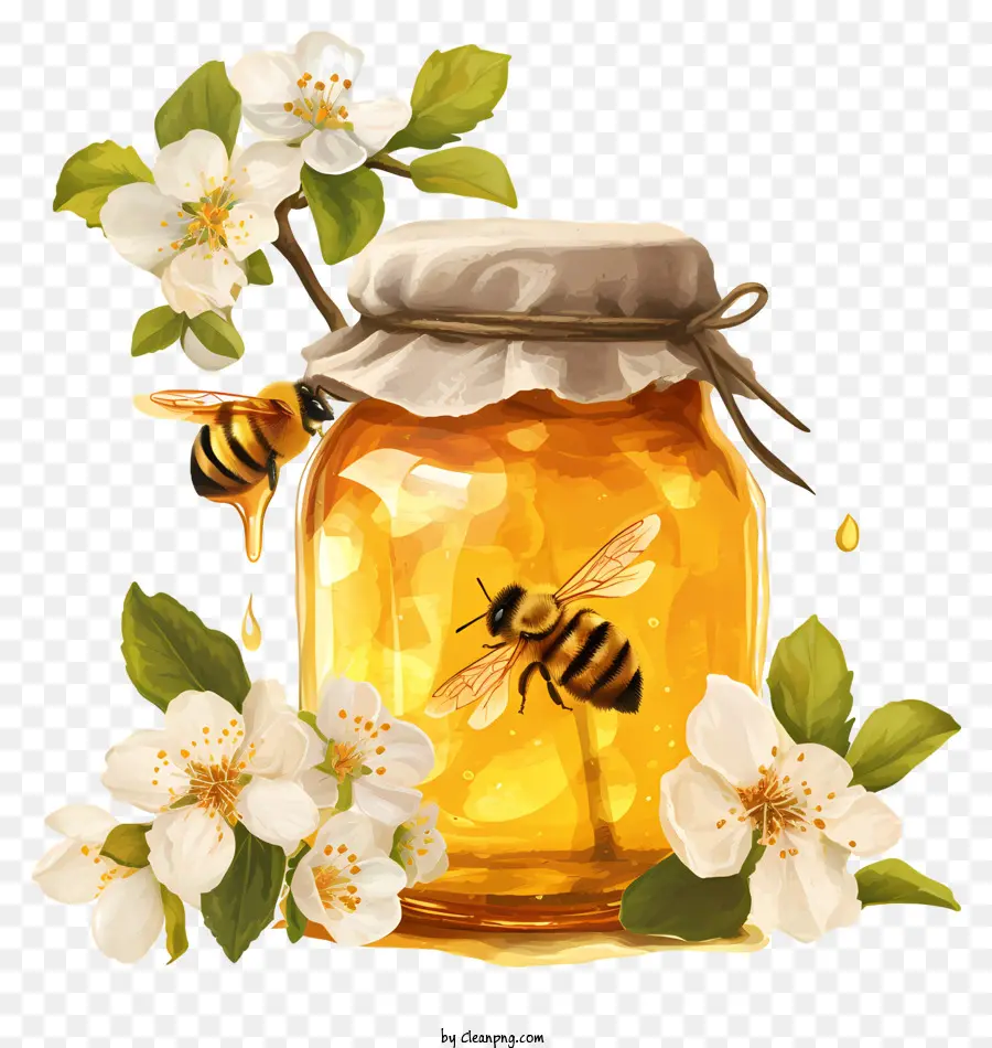 Jar Kaca Madu，Sarang Lebah PNG