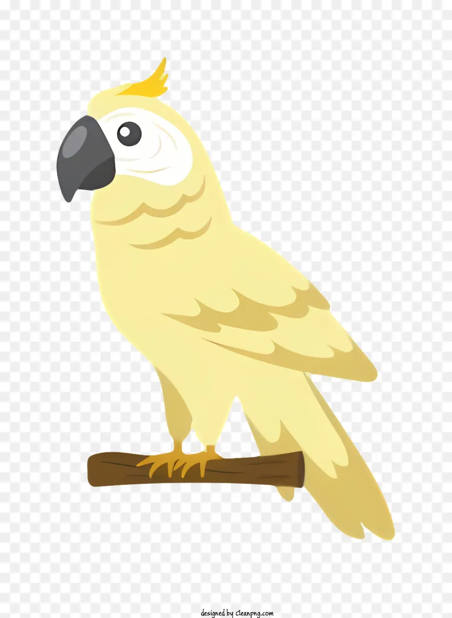 Burung Beo，Burung Kuning PNG