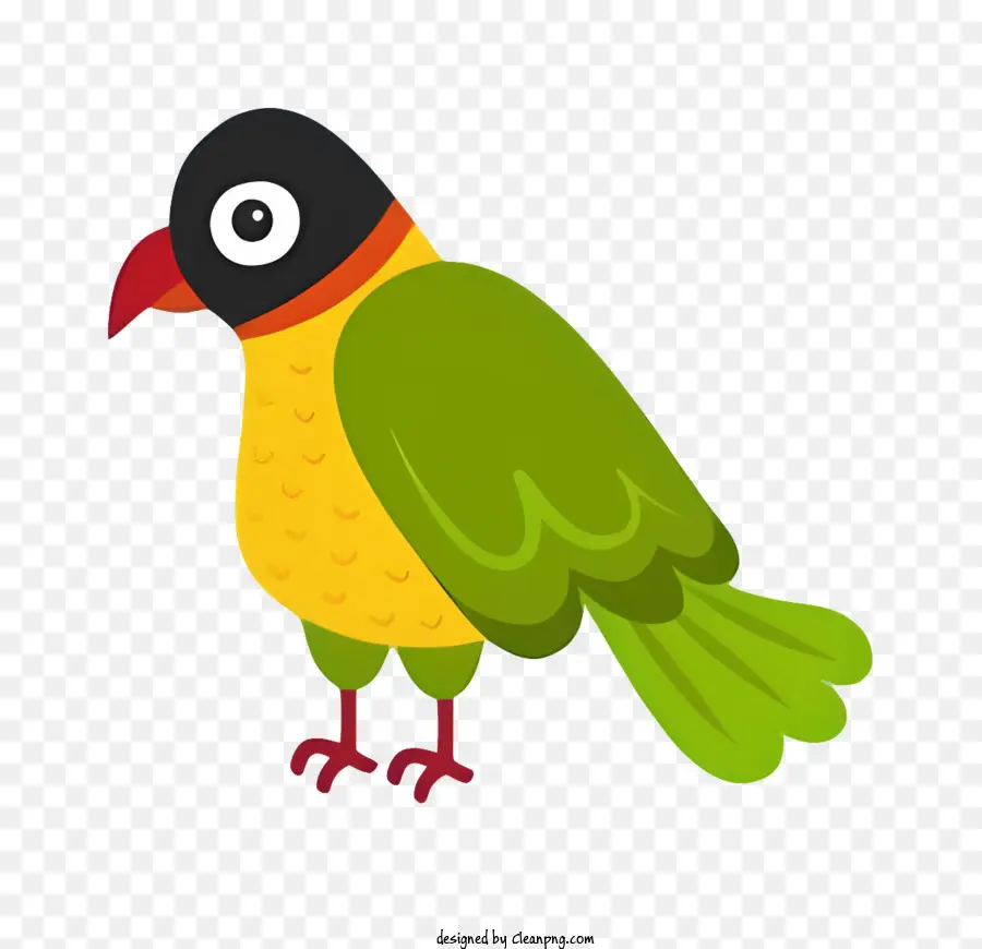 Burung Beo，Ilustrasi Burung PNG