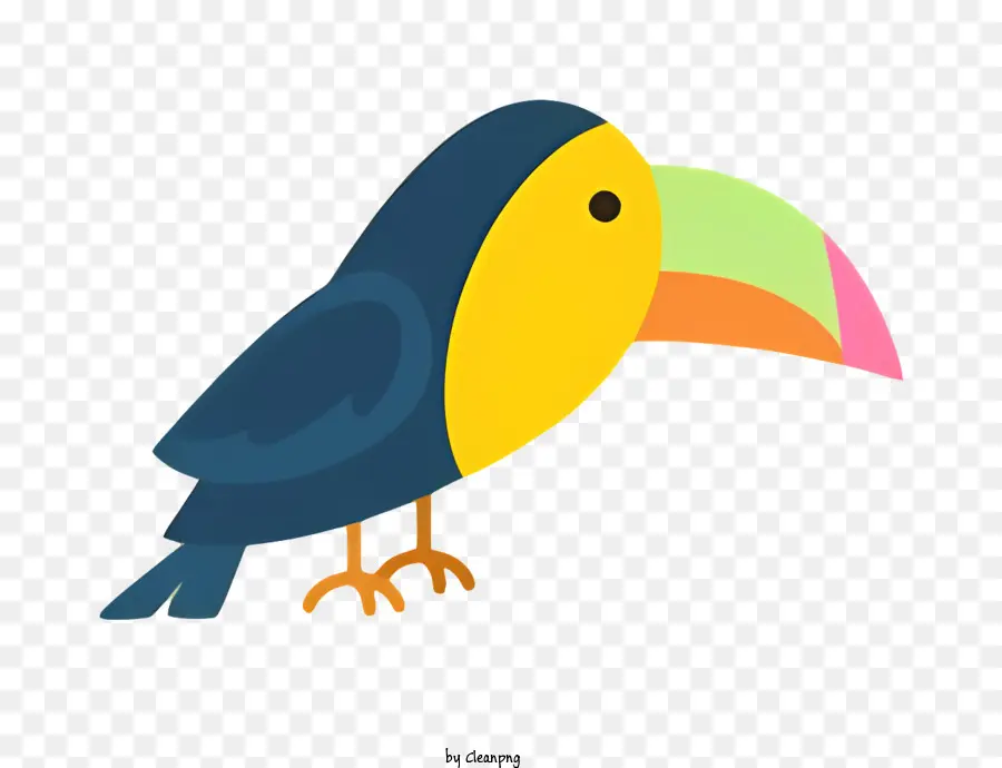Burung Beo，Kartun Burung PNG