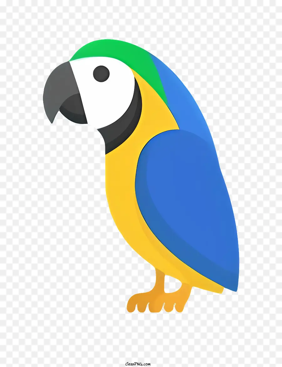 Burung Beo，Paruh Biru Dan Kuning PNG