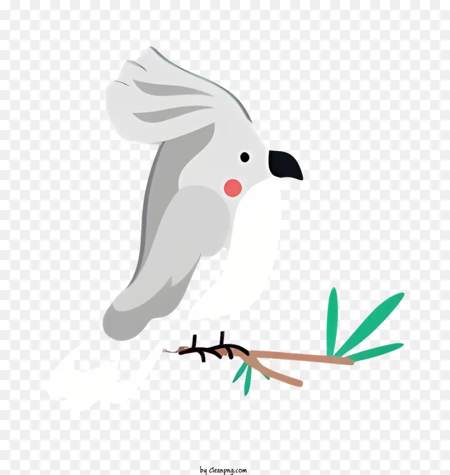 Burung Beo，Burung Putih PNG