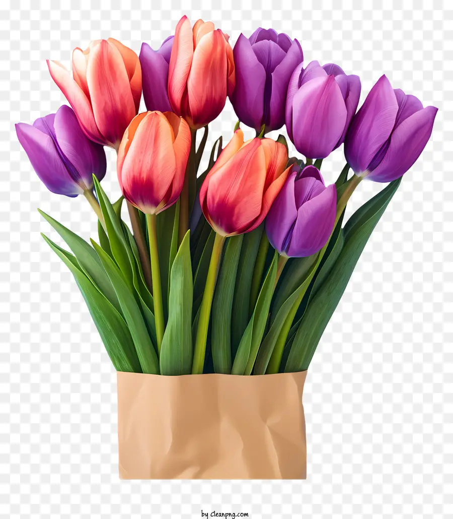 Karangan Bunga Tulips Gaya Realistis，Tulip PNG