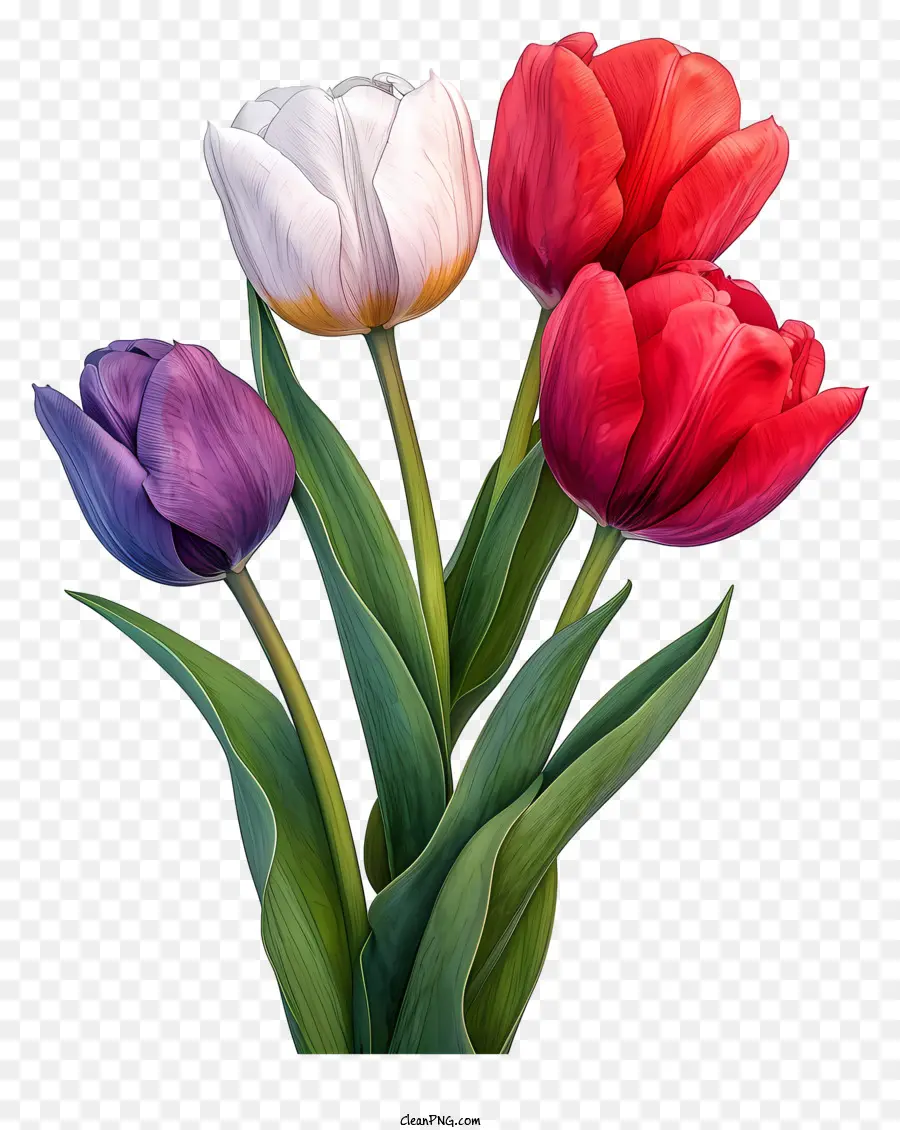 Sketsa Buket Tulips Gaya，Lukisan PNG