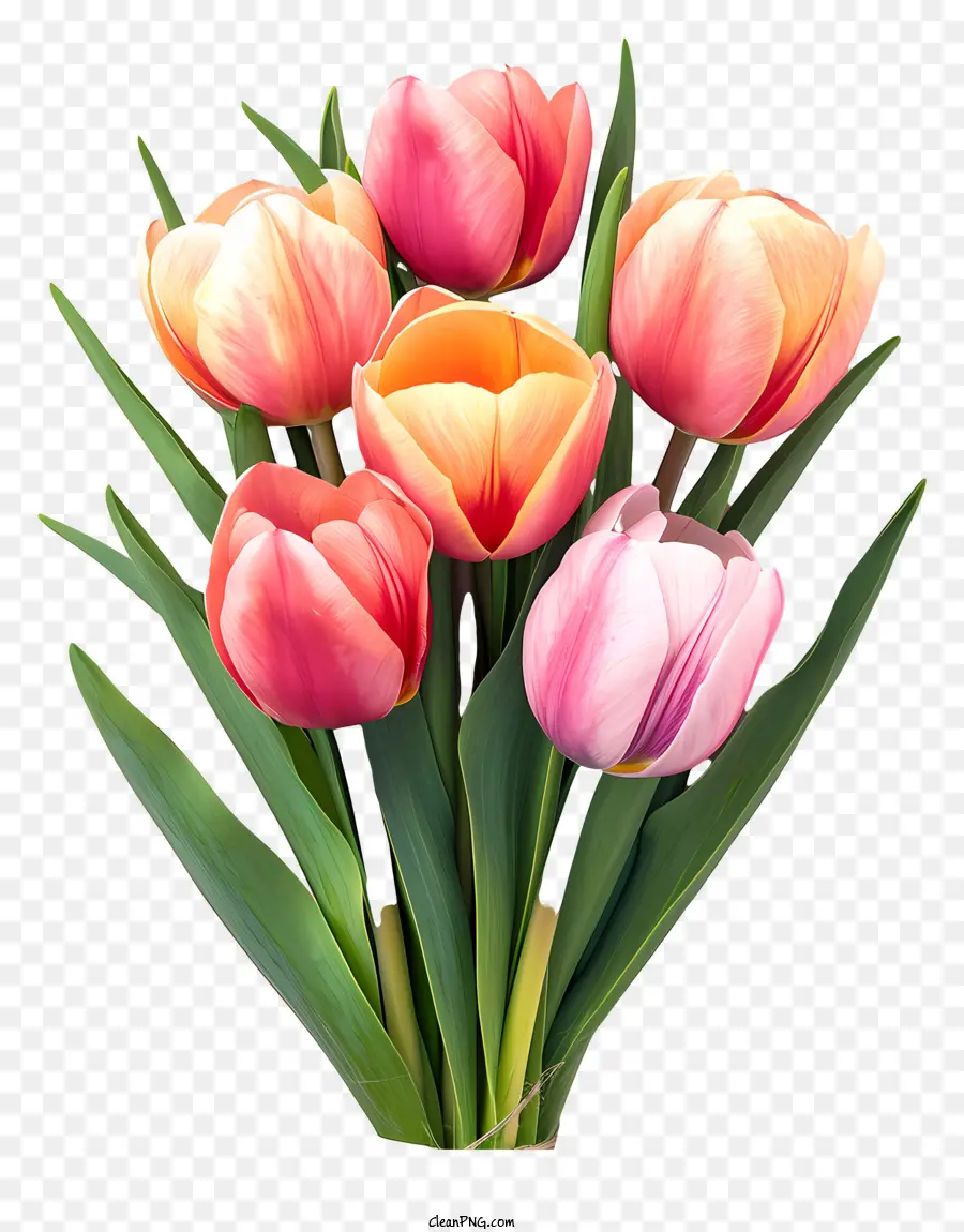 Buket Tulip Datar，Vas PNG