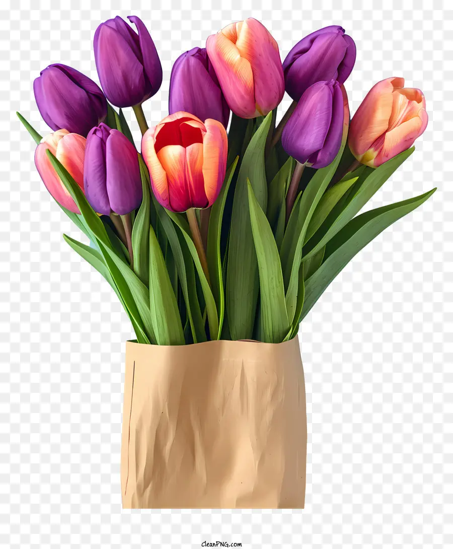 Karangan Bunga Tulips Gaya Realistis，Tulip PNG