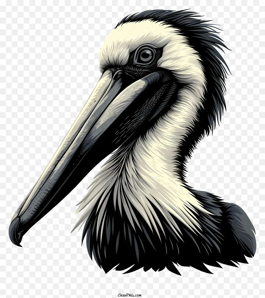 Pelican，Pelican Cokelat PNG