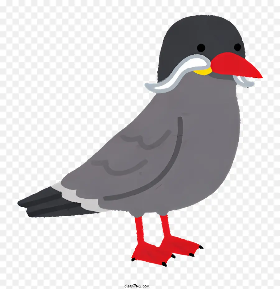 Burung，Burung Kecil PNG