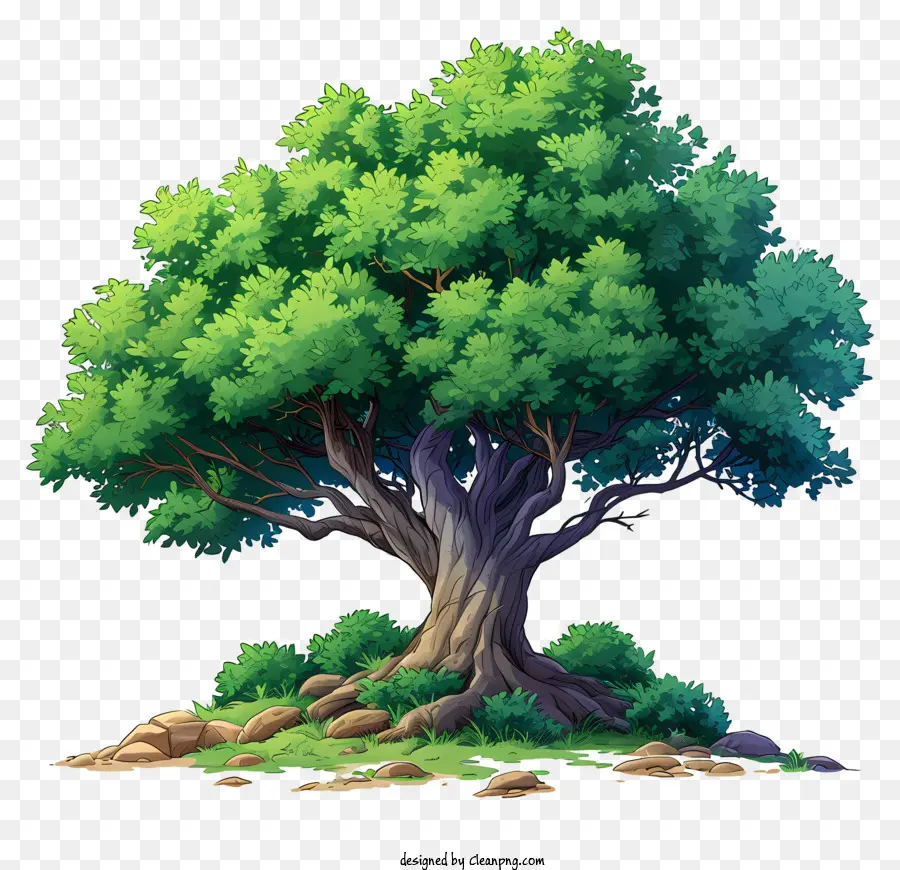 Pohon Besar Datar，Pohon Ek PNG