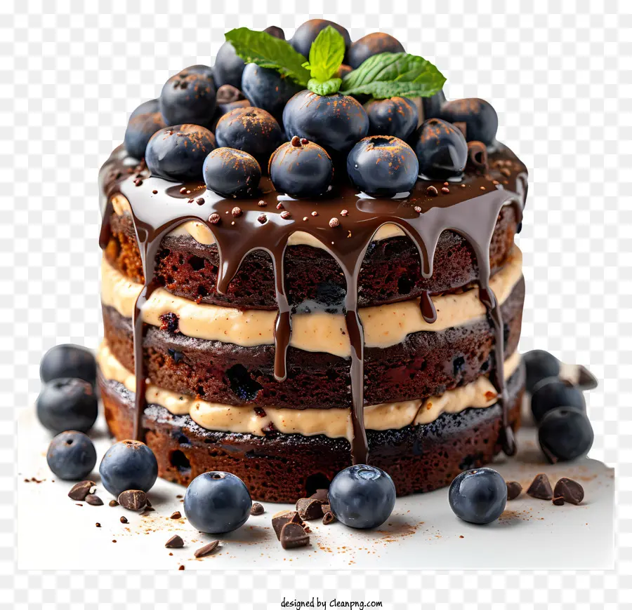 Kue，Kue Coklat Blueberry PNG