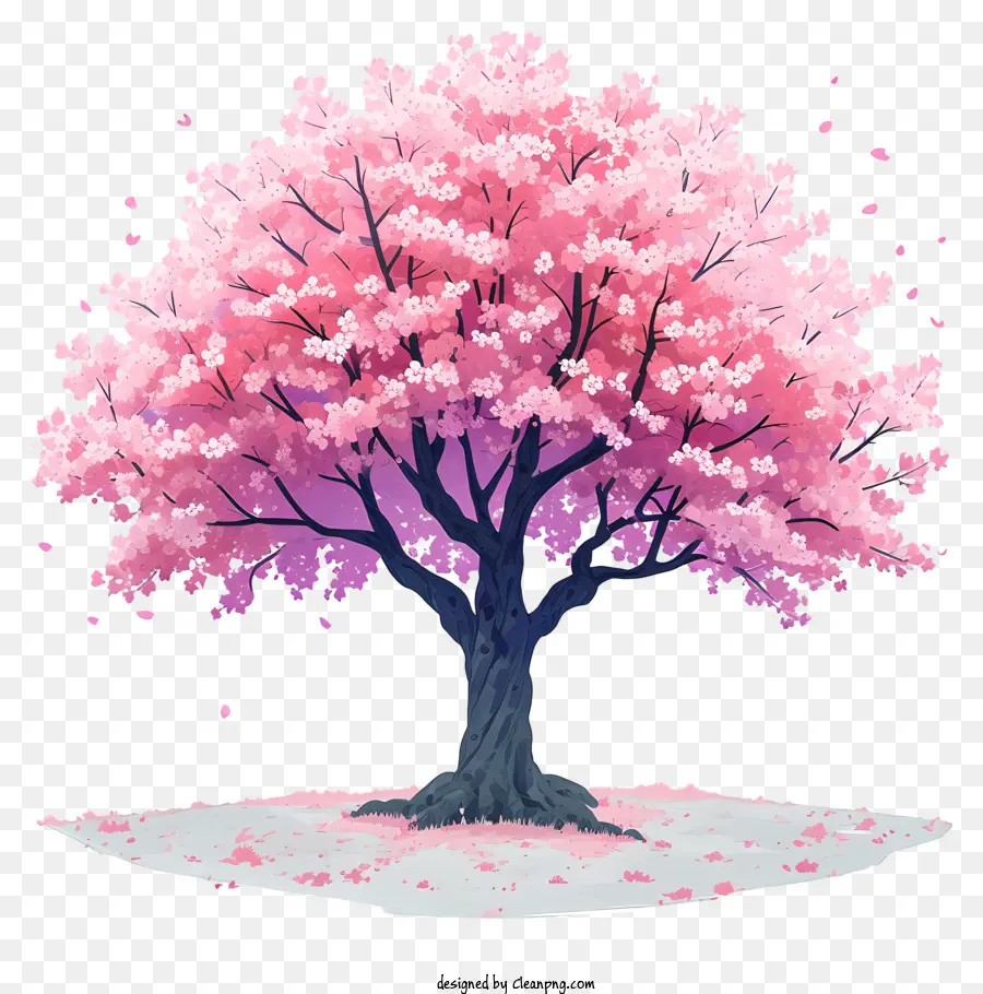 Pohon Bunga Sakura Cat Air，Pohon Sakura PNG