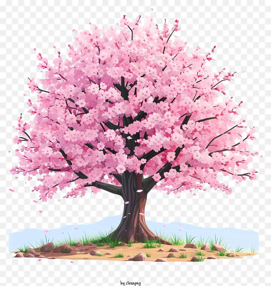 Pohon Sakura Yang Digambar Tangan，Pohon Merah Muda PNG