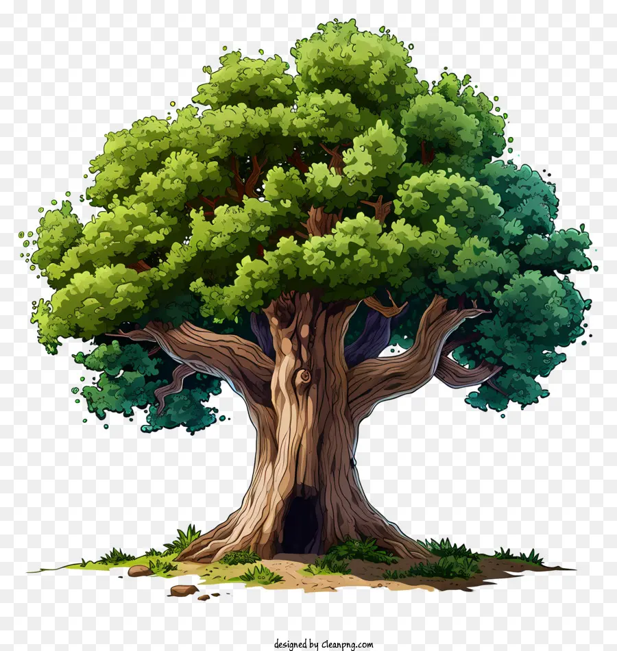Pohon Besar Yang Ditarik Tangan，Pohon Tua PNG