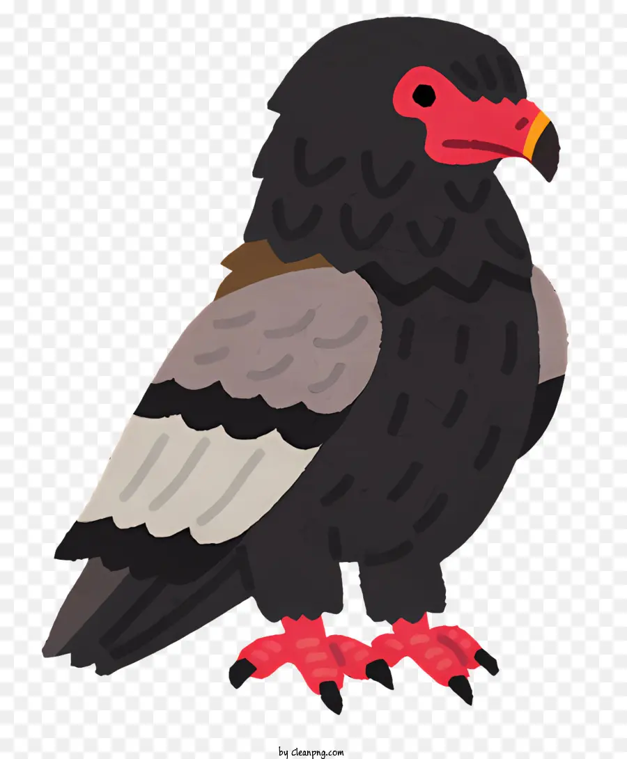 Burung，Burung Pemangsa PNG