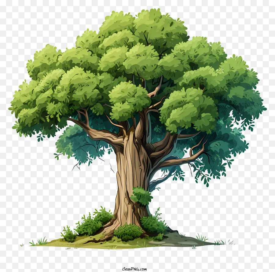 Pohon Besar Gaya Doodle，Pohon PNG