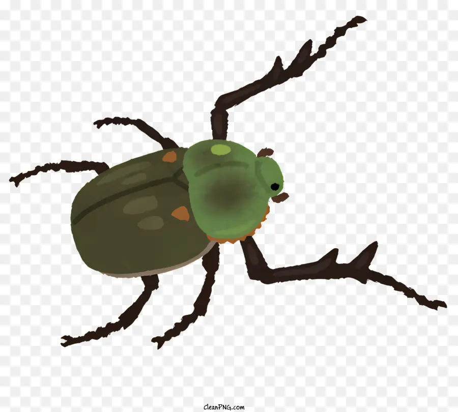 Bug，Kumbang Hijau PNG