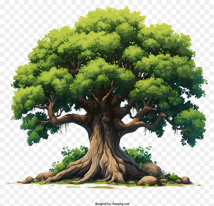 Pohon Besar Yang Ditarik Tangan，Menggambar Pohon Ek PNG