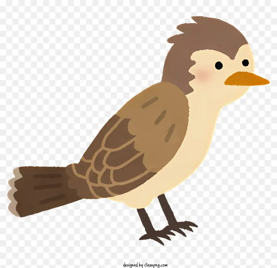Burung，Burung Coklat Kecil PNG