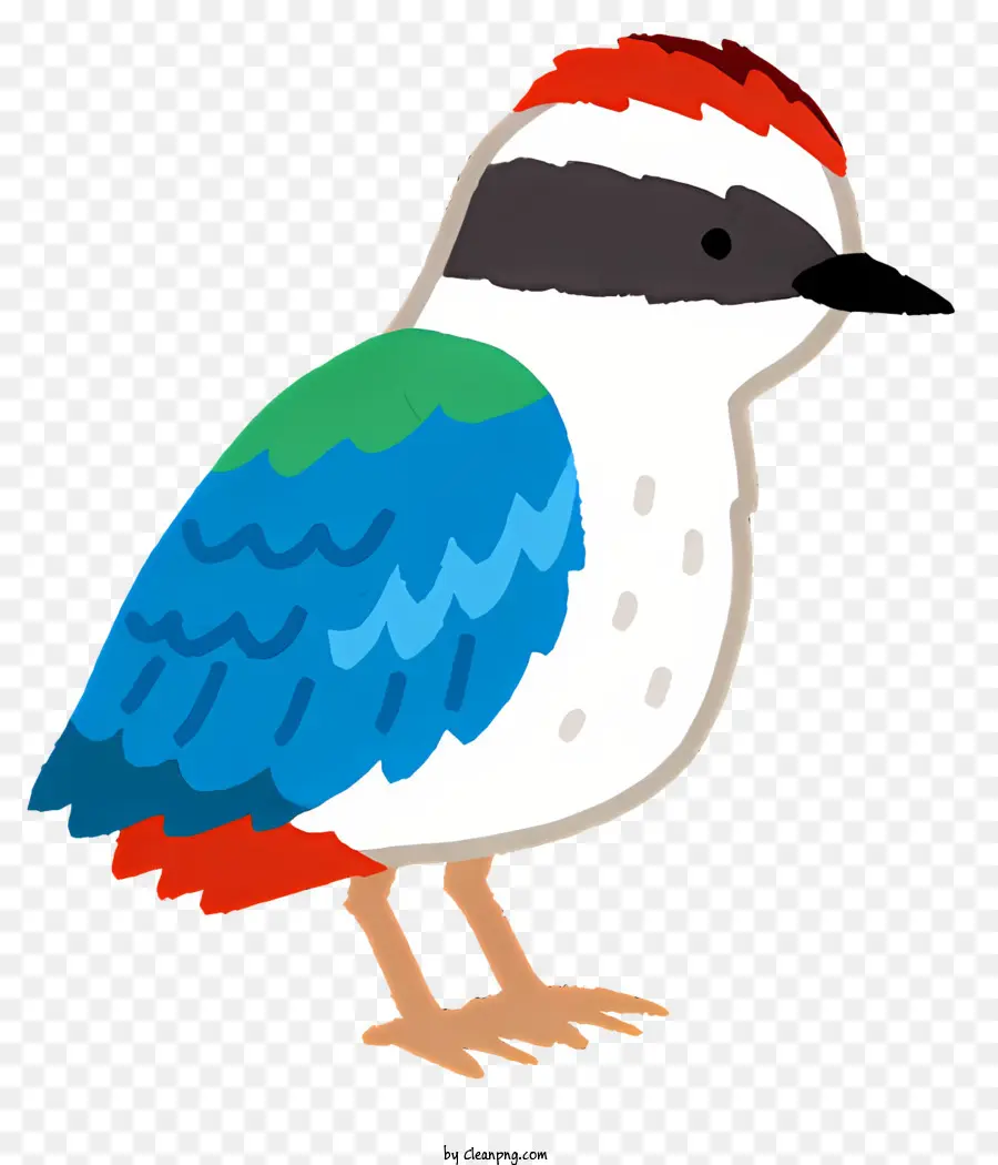 Burung，Lucu Burung PNG