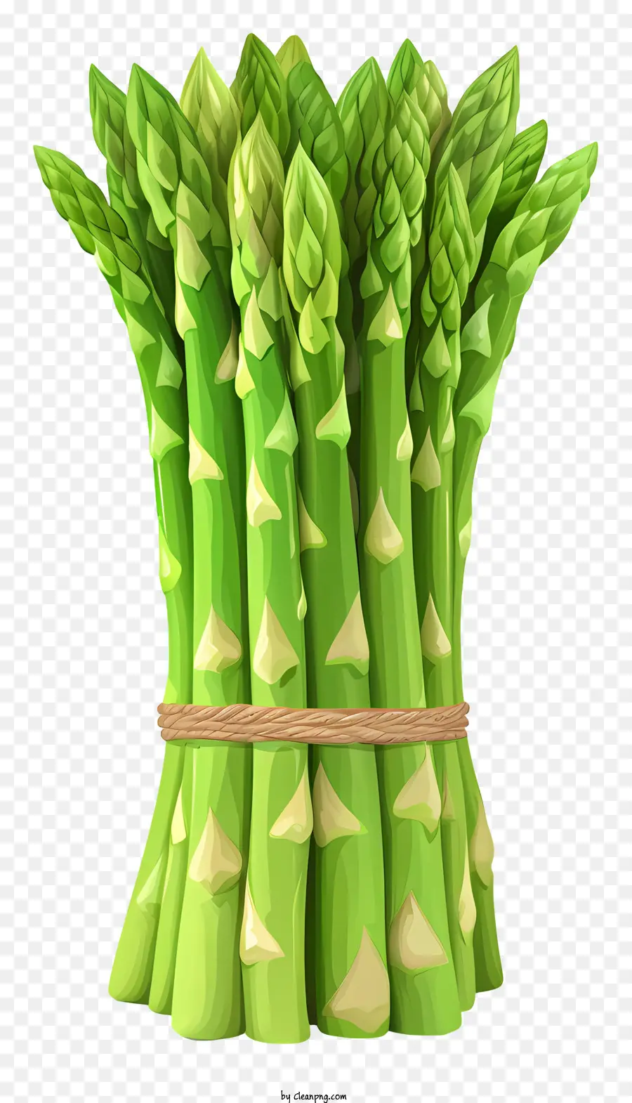 Asparagus Gaya Datar，Asparagus PNG