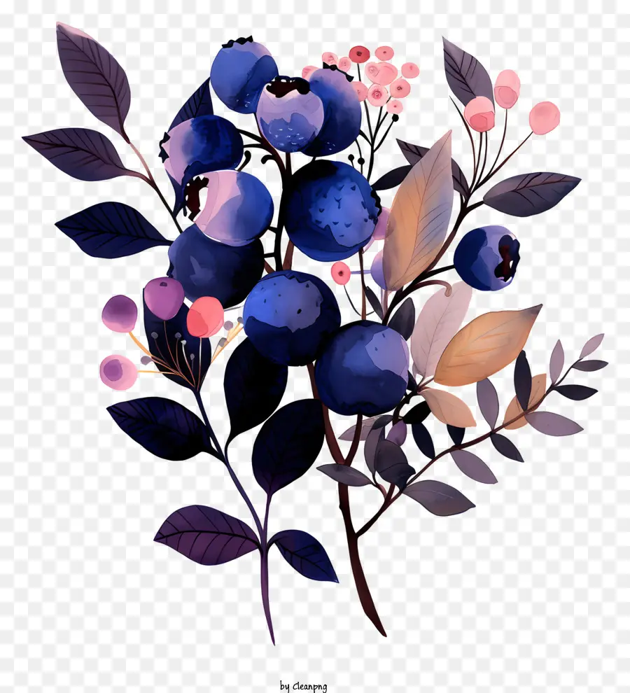 Blueberry，Buah Beri PNG