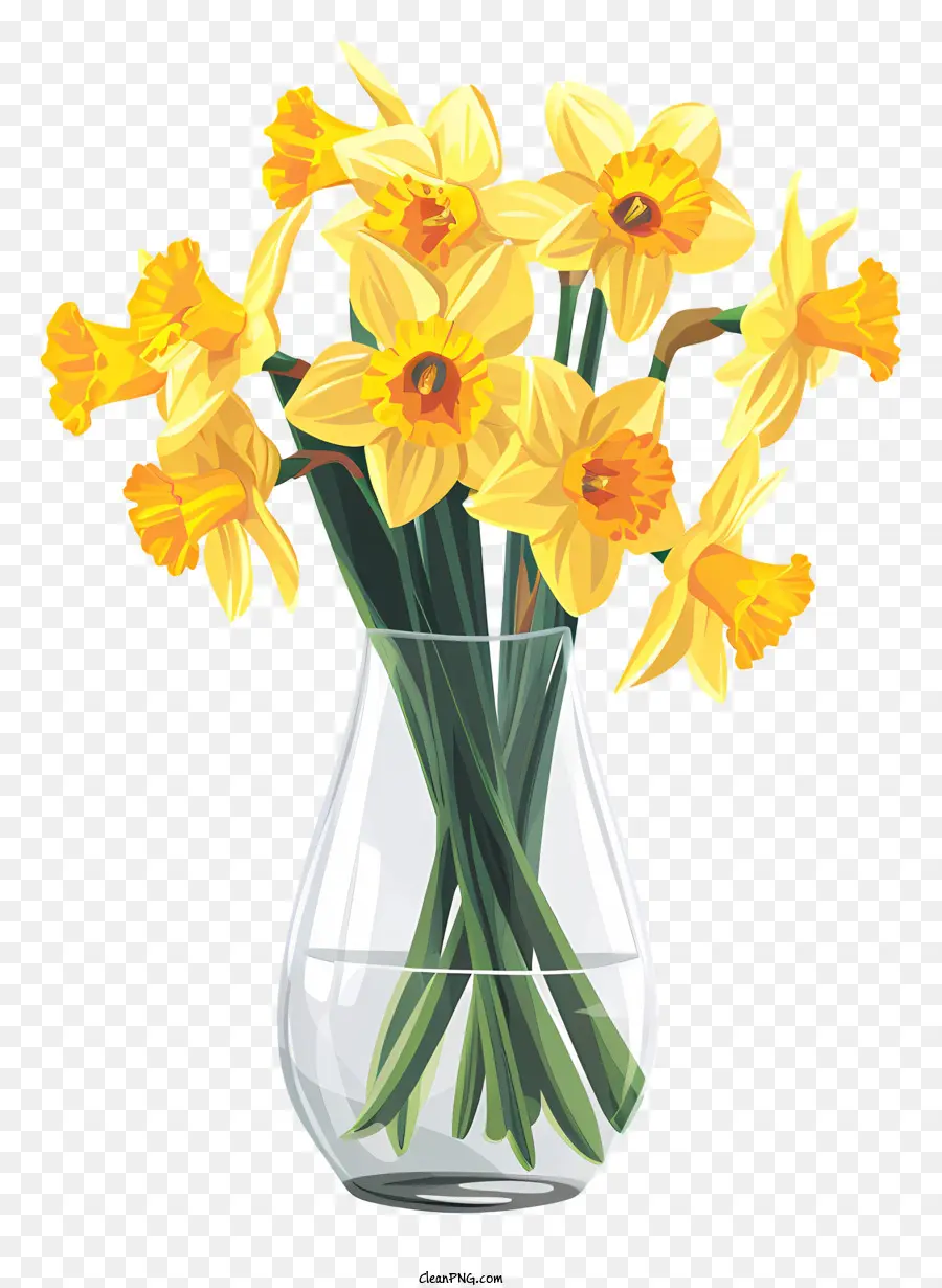 Daffodil，Daffodil Kuning PNG