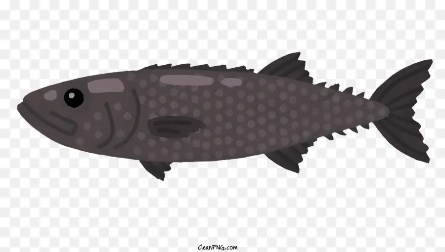 Ikan，Ikan Hitam PNG