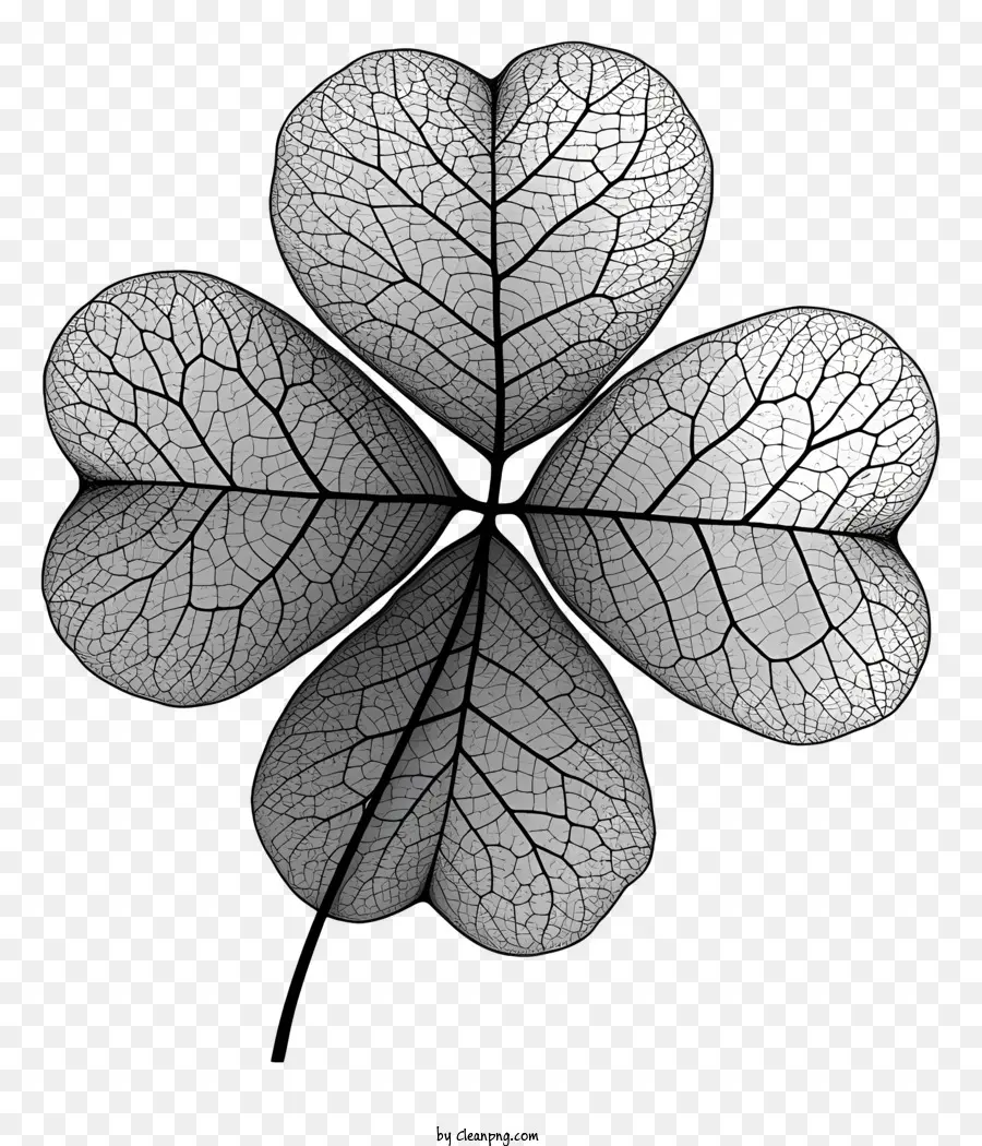 Shamrock，Semanggi Berdaun Empat PNG