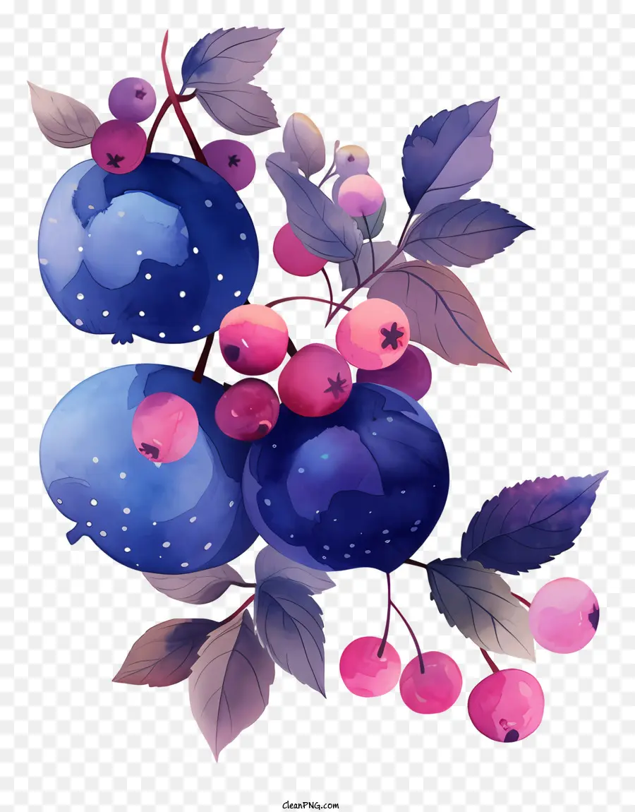 Blueberry，Anggur PNG