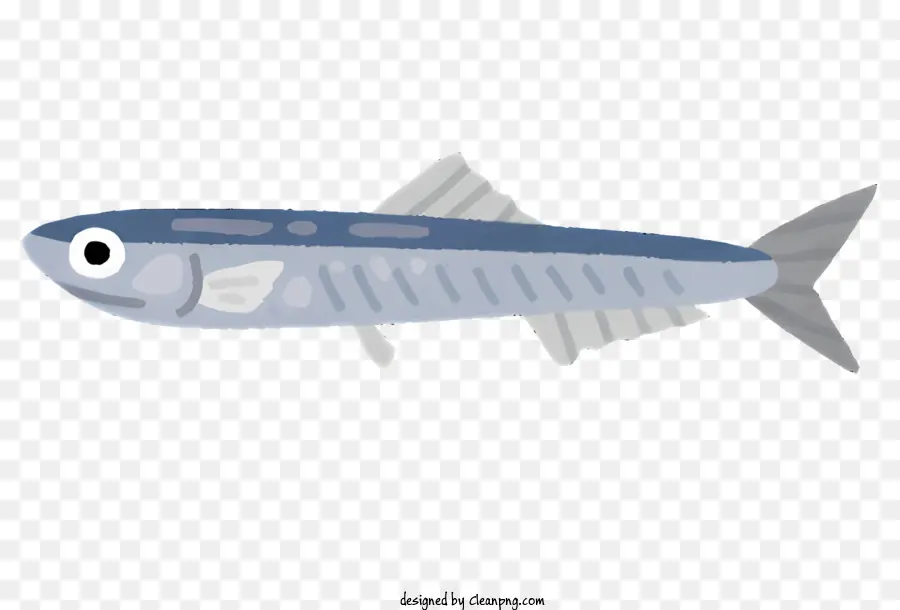 Ikan，Tubuh Biru Tua PNG