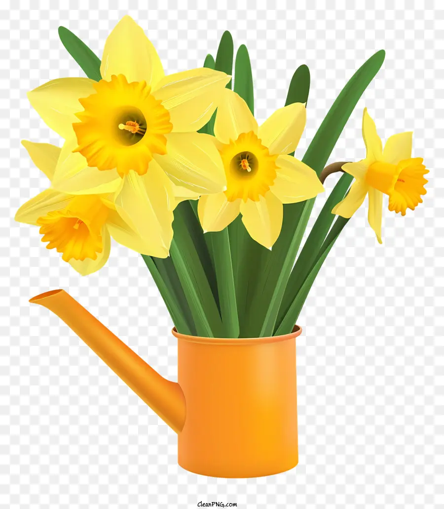 Seni Vektor Sederhana Daffodil，Bakung Kuning PNG