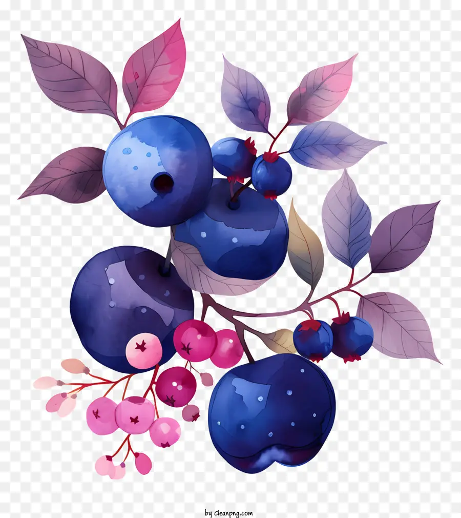 Blueberry，Buah Beri PNG