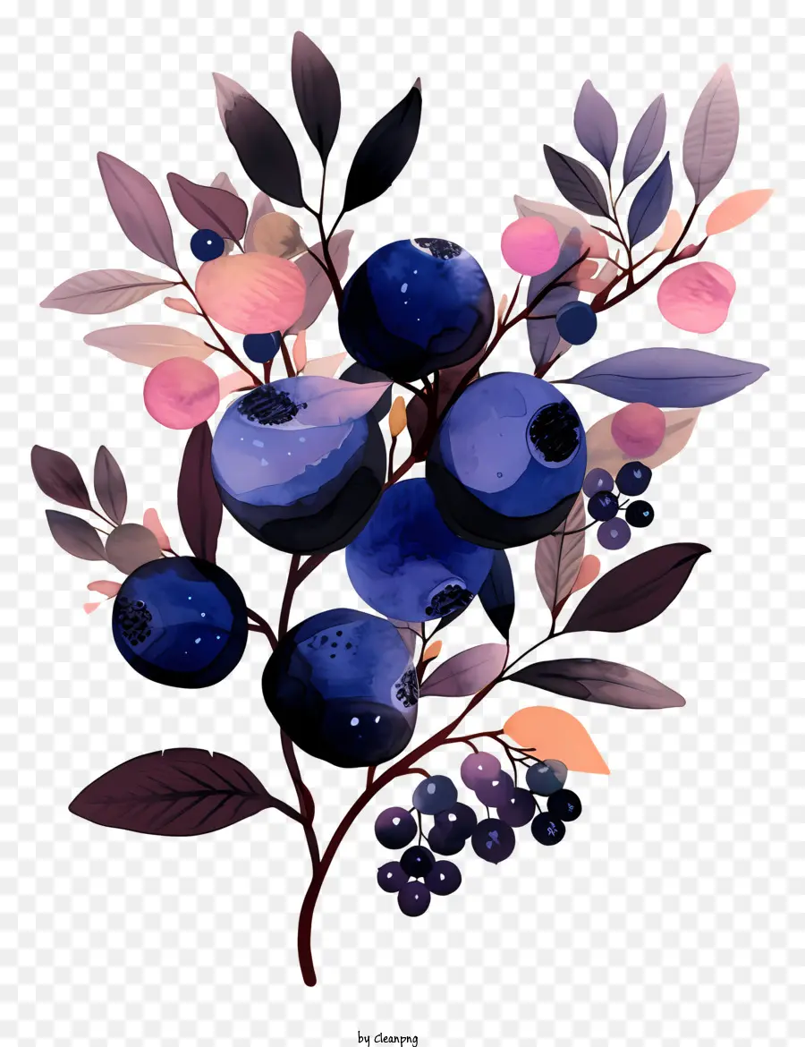 Blueberry，Buah Beri PNG