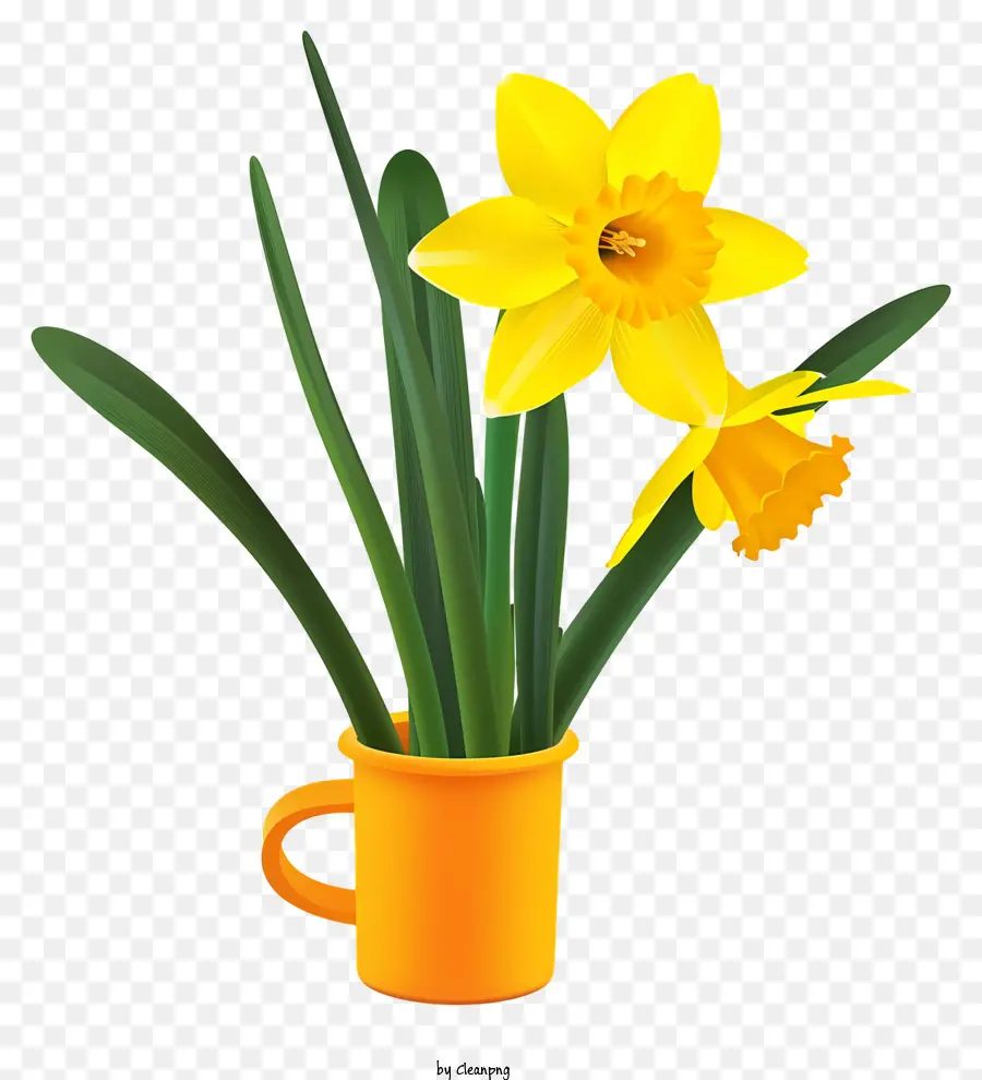 Daffodil Seni Vektor Sederhana，Daffodil Kuning PNG