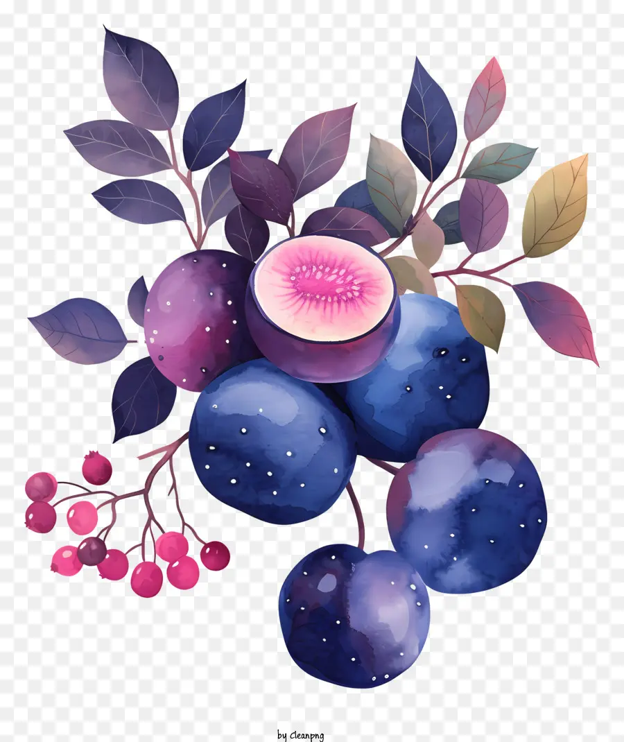 Blueberry，Cat Air Ilustrasi PNG