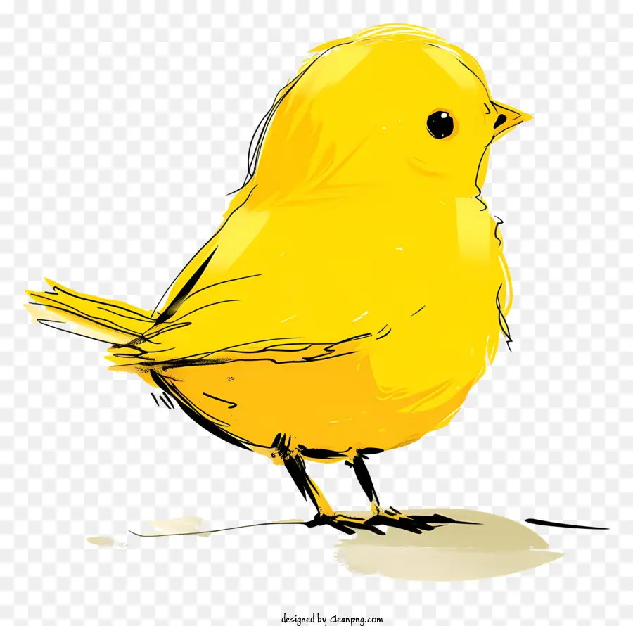 Kartun Burung，Burung Kuning PNG