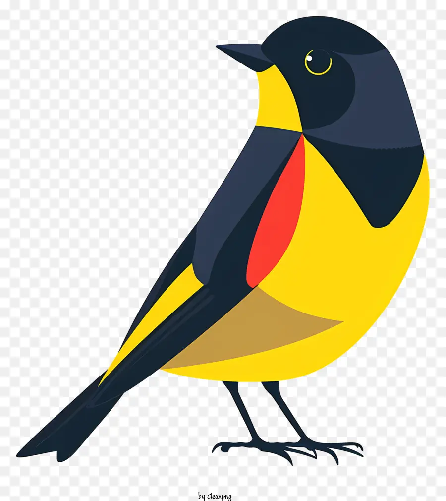 Kartun Burung，Burung PNG