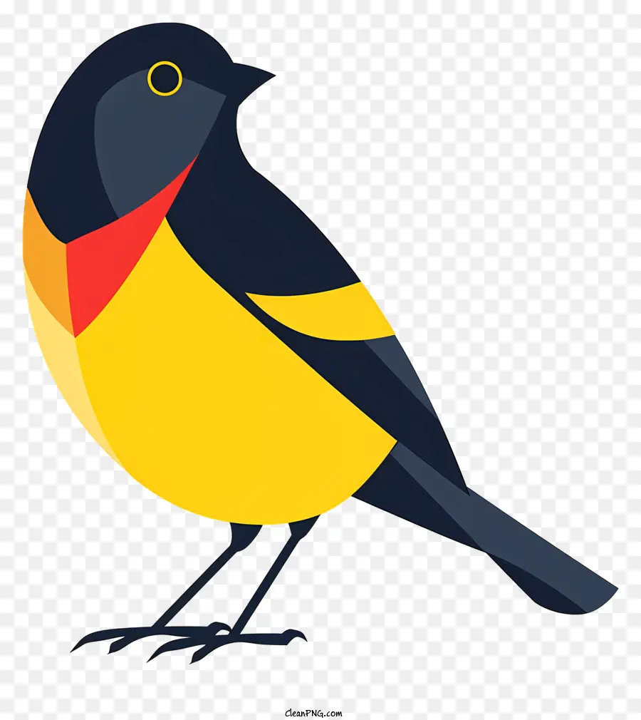 Kartun Burung，Burung Hitam PNG